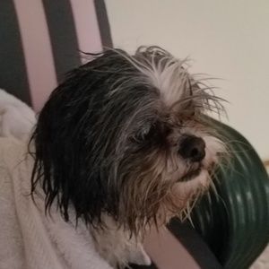 Meet your Posher, Tami